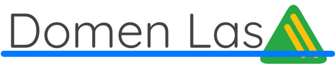 Domen Las Company Logo